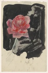 Rosa rossa
