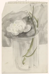 Fiore bianco in un bicchiere