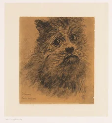 Studio di ritratto del cane Jimmy