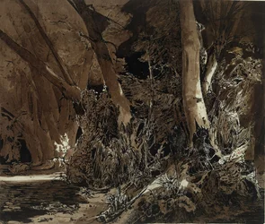Paesaggio forestale con acqua corrente e due cacciatori