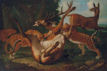 Leopardi che attaccano un cervo in un paesaggio
