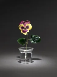 Viola del pensiero, fine 1800s-inizio 1900s