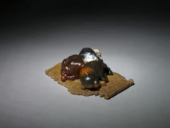 Cuccioli su un tappeto, fine 1800-inizio 1900