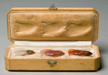 Set di Tre Pesci nella Scatola Originale, c.1890