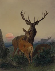 Un cervo con un daino in un paesaggio boscoso al tramonto
