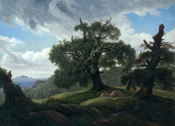 Querce sul mare