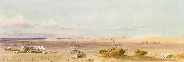 Colline di sabbia nel deserto, Cairo, Suez, 1859