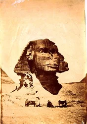 Sfinge a Giza