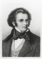Ritratto di Franz Schubert (1797-1828) inciso da H. Roemer