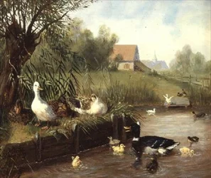 Anatre sulla riva del fiume