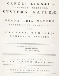Pagina del titolo da 