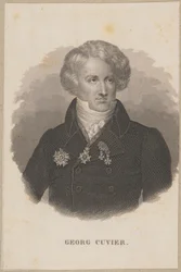 Georges Cuvier (1769 Montbéliard - 1832 Parigi) - zoologo francese, fondatore della paleontologia
