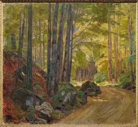 Sentiero nel bosco (pittura su tela)