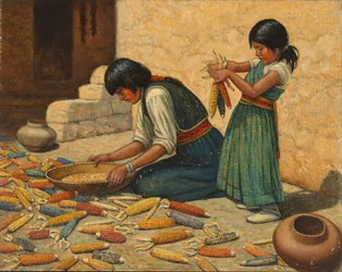 Essiccazione del mais