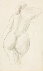 Vista posteriore di nudo femminile