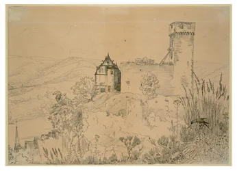 Castello di Hirschhorn sul Neckar (con il falco)