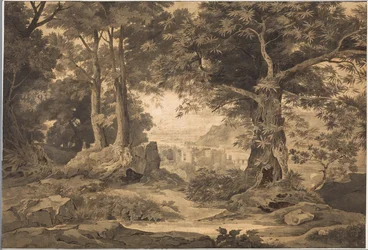 Heidelberg con la bella lontananza