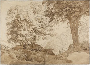 Riposo nella foresta di querce