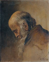 Studio di un vecchio