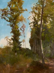 Radura nel bosco vicino a Purkersdorf