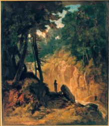 Paesaggio boscoso con cascata, sulla riva con cappuccino