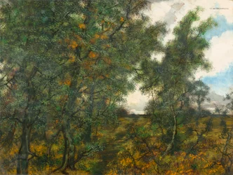 Al margine del bosco