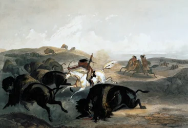 Indiani che cacciano il bisonte, 1843