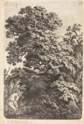 Satiro e ninfa in una palude