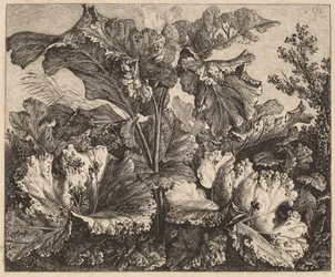 Piccolo studio di piante: una bardana, ciuffi delicati di erba a sinistra
