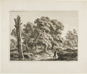 Paesaggio