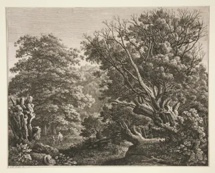 Paesaggio con albero nodoso