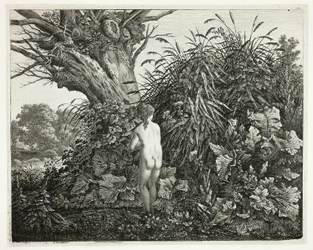 Ninfa in un bosco paludoso