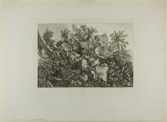 Piante di palude