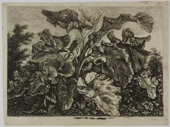 Foglio di verdure