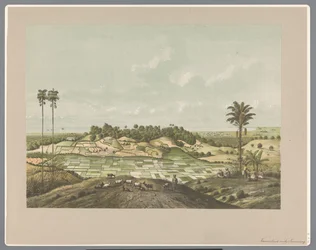 Costa nord vicino a Semarang
