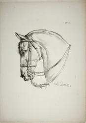 Particolare della testa di cavallo, ingrandita a grandezza tripla, Guardia Reale Normanna, n. 2