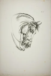 Particolare della testa di cavallo, ingrandita a grandezza tripla, Guardia Reale Normanna, n. 5, Primo Cavallo di Limoges
