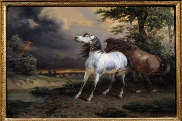 Cavalli spaventati dalla tempesta