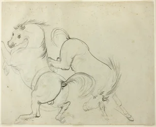 Due Cavalli che Giocano (recto); Uomo su un Cavallo che Calcia (verso)