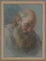 Testa di un vecchio barbuto