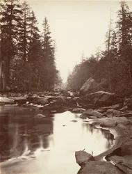 Fiume Merced, Yosemite, ca. 1872, stampato ca. 1876
