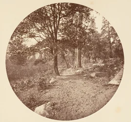 Nella valle di Yosemite