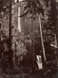 Cascate Multnomah, Oregon, 1867, stampato successivamente