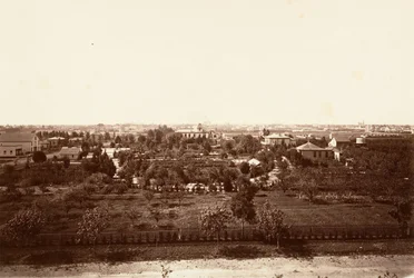 Oakland, dall