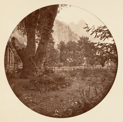[Parco nazionale di Yosemite, California], ca. 1878.