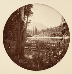 Parco Nazionale di Yosemite, California, ca. 1878