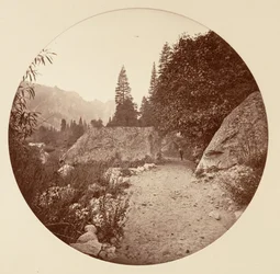 [Parco nazionale di Yosemite, California], 1878 ca.