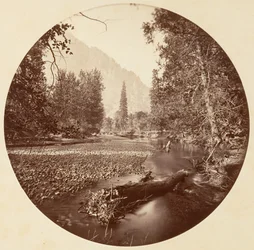 Parco nazionale di Yosemite, California, 1878 circa.