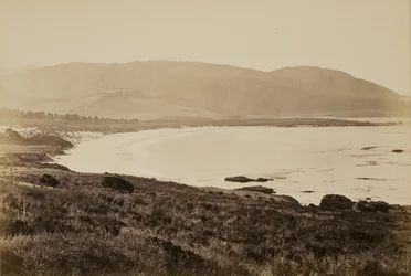 [Veduta della costa, Monterey]