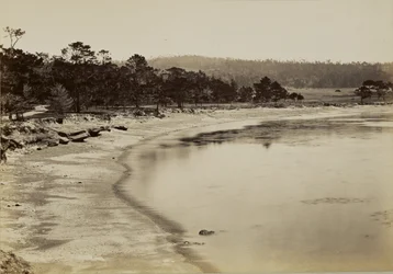 [Veduta della costa presso Monterey]